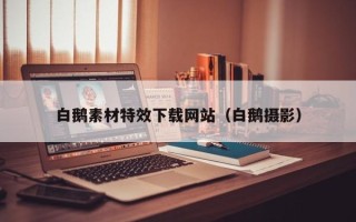 安岳白鹅素材特效下载网站（白鹅摄影）